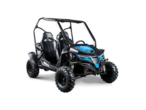 208CC 7.5HPDune Buggy UTV ATV Sport Quad Dirt Bike 4 Wheel Go kart Auto FORZA 3