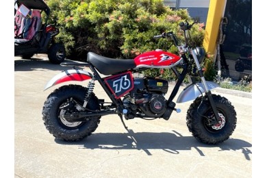 MB200 TrailMaster Hurricane 200X Mini Bike Coleman Full sized Kids Adults Bike RED