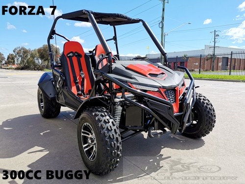 Clutch Assembly  Auto for 300cc Linhai atv quad buggy