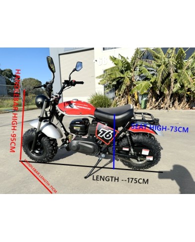 MB200X TrailMaster Hurricane Mini Bike Coleman Full sized REC-REG E-start BLUE