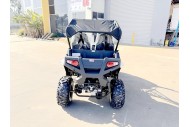 200CC UTV Challenger 200EX Dune Buggy Go kart Off Road 2 Seater Auto CVT EFI White