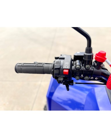 150CC ATV Sport Quad 4 Wheel Buggy Semi Auto ZOOMER BLUE kids Adults Off-road