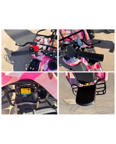 WILDFORCE49 49CC FARM QUAD BIKE ATV BUGGY KIDS 4 WHEELER HUASHENG 2-STROKE MJ MOTORGREEN