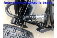 200cc 6.5HP Go Kart Wet Clutch Dune Buggy ATV Quad 4 Stroke Top Roll Cage